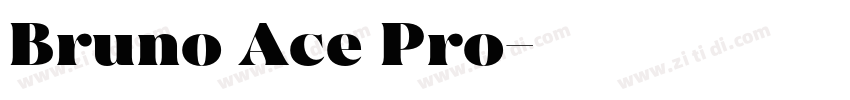Bruno Ace Pro字体转换